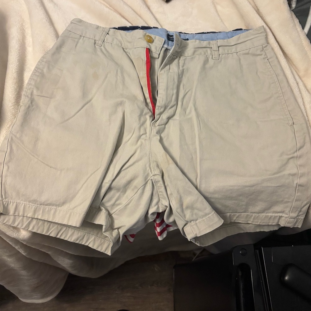 Southern Marsh Tan Men's Shorts